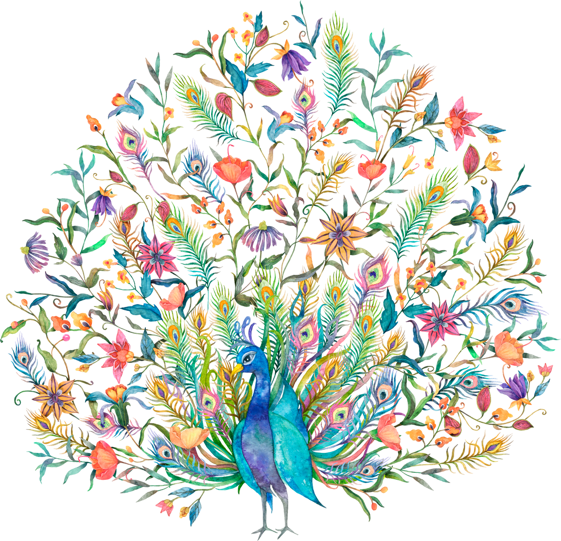 Peacock Png in Watercolor Sticker